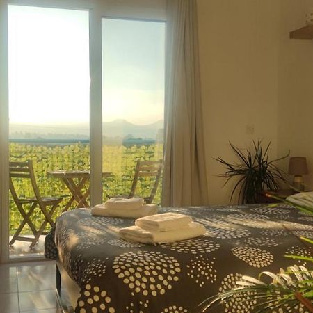 Thalassa Seaside Boutique Beach Apartment Polis ภายนอก รูปภาพ