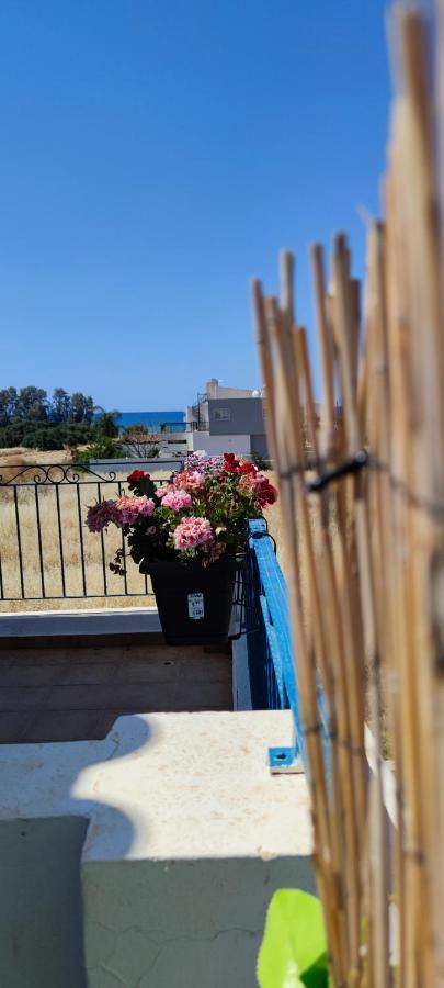 Thalassa Seaside Boutique Beach Apartment Polis ภายนอก รูปภาพ