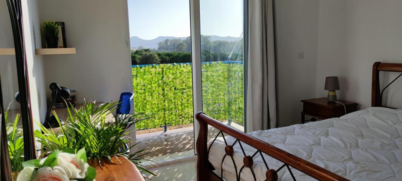 Thalassa Seaside Boutique Beach Apartment Polis ภายนอก รูปภาพ