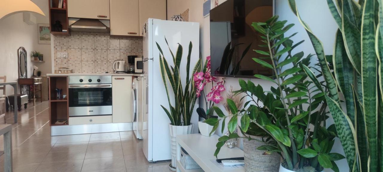 Thalassa Seaside Boutique Beach Apartment Polis ภายนอก รูปภาพ