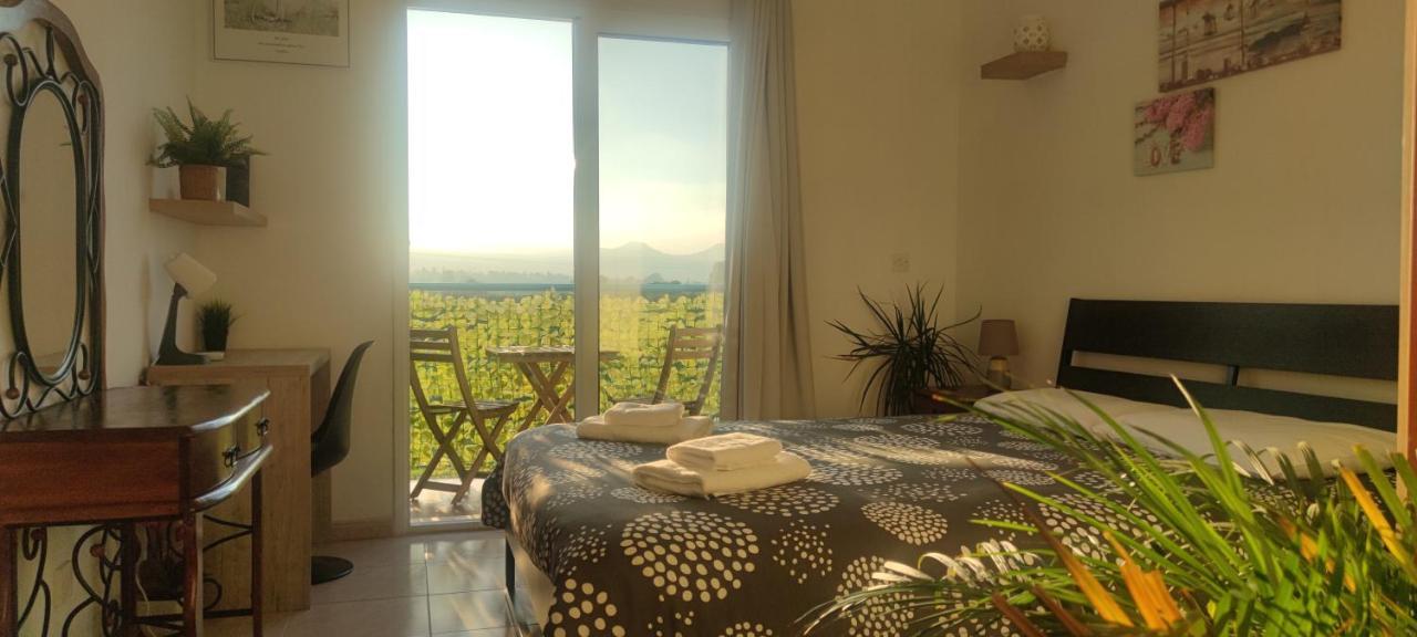 Thalassa Seaside Boutique Beach Apartment Polis ภายนอก รูปภาพ