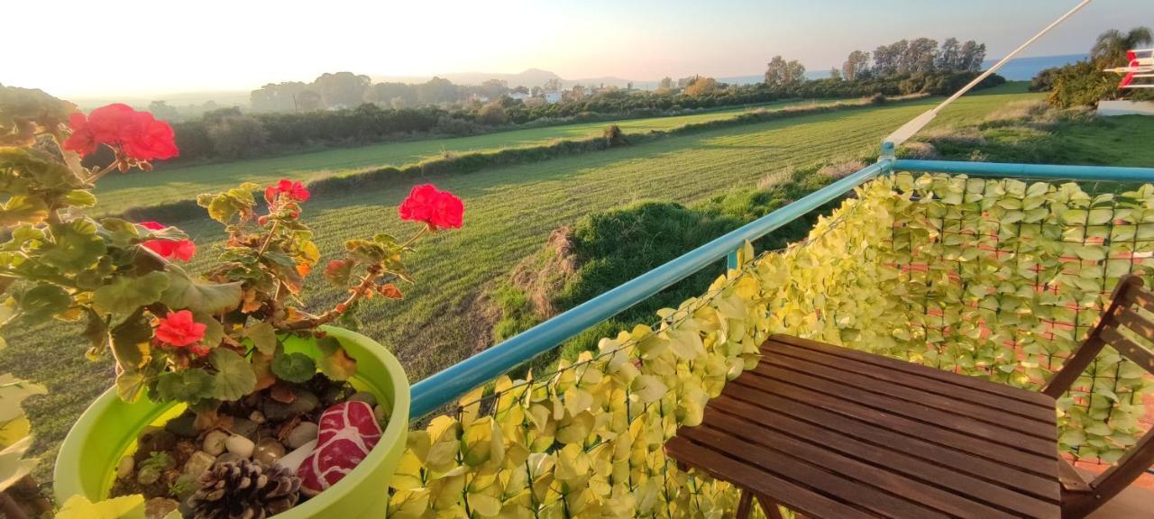 Thalassa Seaside Boutique Beach Apartment Polis ภายนอก รูปภาพ