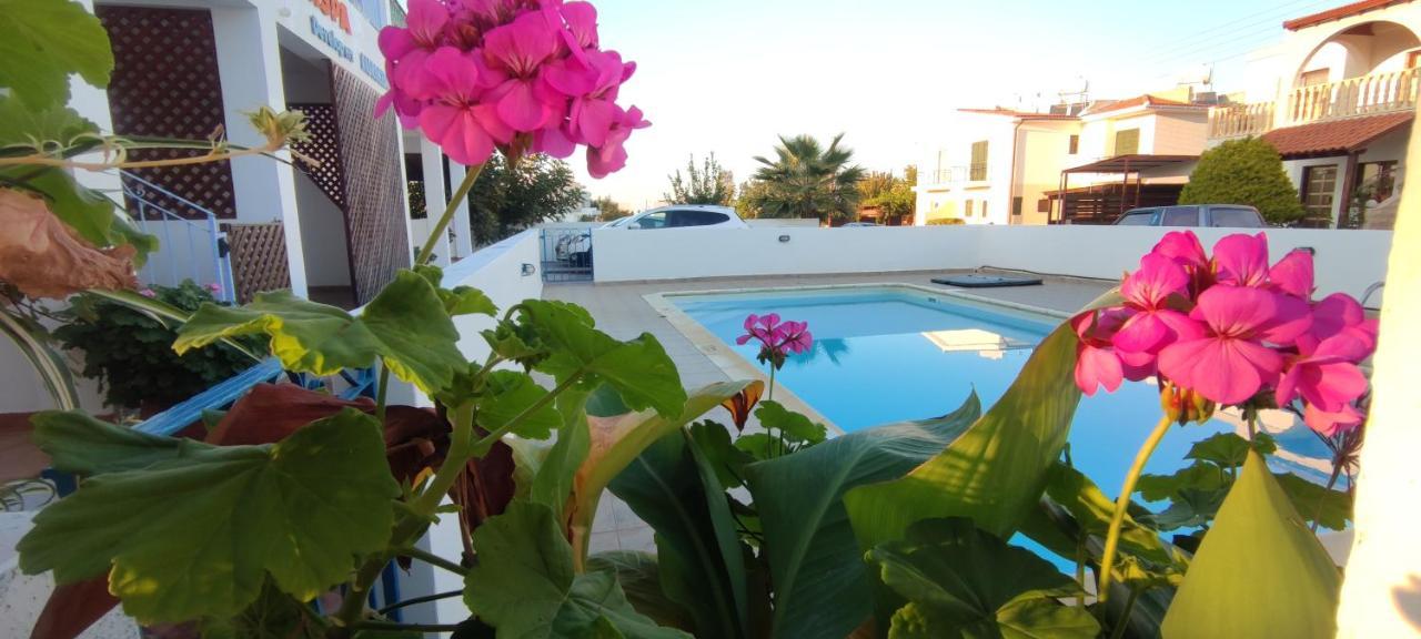 Thalassa Seaside Boutique Beach Apartment Polis ภายนอก รูปภาพ